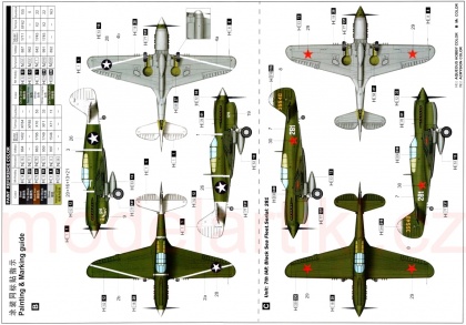 P-40M War Hawk, 1:32, 005/02211