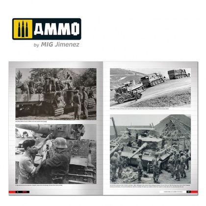 Tigers – Modelling the Ryefield Family (English), 085/A.MIG-6273