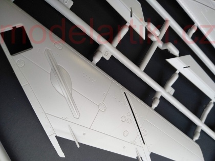 MiG-19S Farmer C, 1:48, 005/02803