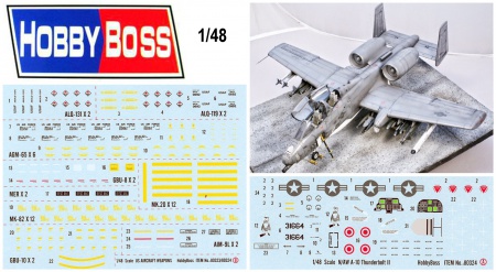 N/AW A-10A Thunderbolt II, 1:48, 008/80324